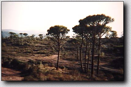 Quelque part en France