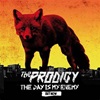 L'album - Day is my ennemy - de Prodigy